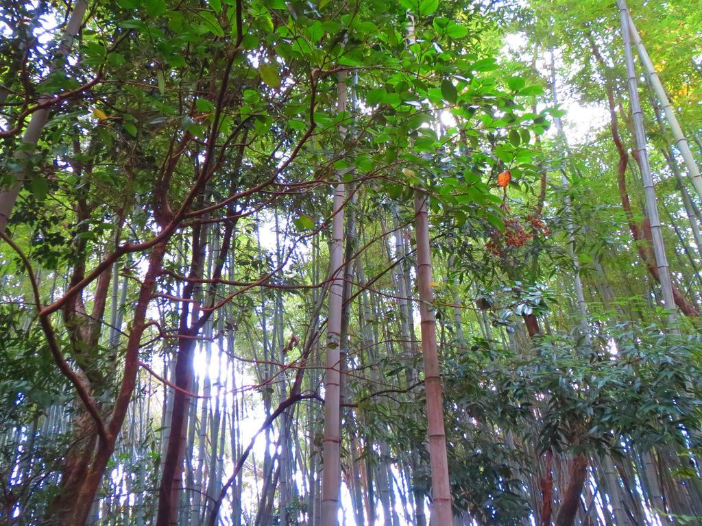 Murasakino Guesthouse Kyoto Luaran gambar